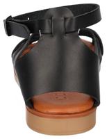 Cosmos 6308801 - alle - thumbnail