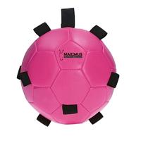 Maximus Fun Play Ball Pink - thumbnail