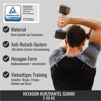 Dumbell hexagon 4 kg - thumbnail