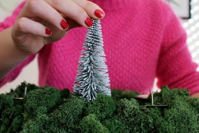 NOCH Hobby 26828 Set bomen Besneeuwde zilverspar 50 tot 140 mm Sneeuwwit 25 stuk(s)