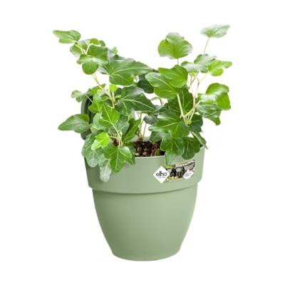 Elho Vibia Campana Small Hangpot groen - thumbnail