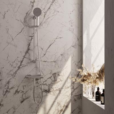 Chrome Carving opbouw thermostaatkraan SET 02 met glijstang, handdouche en doucheslang