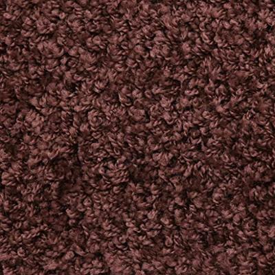 VidaXL Trapmatten 10 st 65x21x4 cm bruin halfrond groot