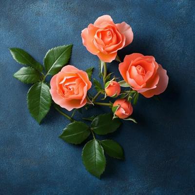 Elie Saab Le Parfum Royal Eau de parfum Spray 50 ml Dames