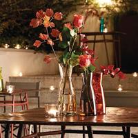 Bormioli rocco ypsilon karaf 1 liter - thumbnail