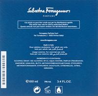 Ferragamo - Salvatore Ferragamo F Pour Homme Free Time Eau de Toilette Spray 100 ml Heren - thumbnail