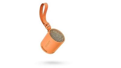 Sony SRSXB100D.CE7 Bluetooth luidspreker Handsfree-functie, Spatwaterdicht Oranje - thumbnail