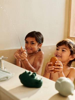 Set van 4 LIEWOOD samendrukbare dierensproeiers meerkleurig