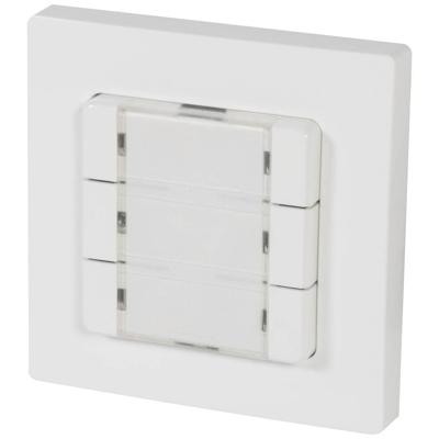 HOMEPILOT 12501006 Wandtoets Draadloos Opbouw (op muur) HOMEPILOT 12501006 Wandtoets Draadloos Opbouw (op muur)
