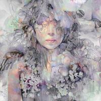 New Album - CD (0634457553224) - thumbnail