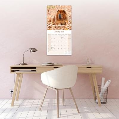 Chow Chow Kalender 2026 Chow Chow Kalender 2026