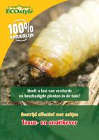 Ecostyle aaltjes tegen larven taxus-kever L 100 m² - thumbnail
