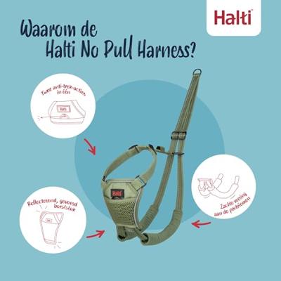 Hondentuigje Company of Animals FOREST Groen L