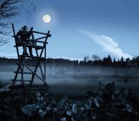 STEINER jachtverrekijker Nighthunter 8x56 - Duitse kwaliteitsoptiek, nachtverrekijker met de hoogste lichttransmissie (96%+), XL gezichtsveld, testwinnaar - thumbnail