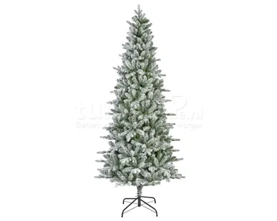 Everlands Killington boom fir 240cm groen/wit - thumbnail
