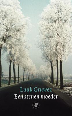 Een stenen moeder - Luuk Gruwez - eBook (9789029576642)