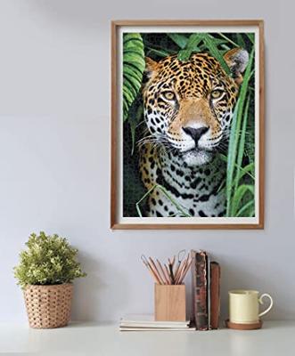 Clementoni puzzel jaguar in de jungle, 500st.