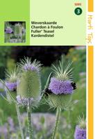 Zaden Dipsacus Weverskaarde Hortitops - Hortitops - thumbnail