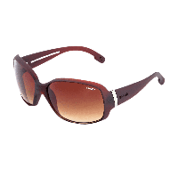 Sinner Amos X Zonnebril - thumbnail