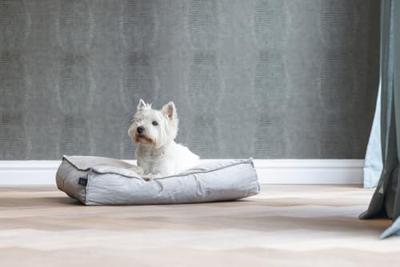 Designed by Lotte Ligkussen hond Nalino - Grijs 70 x 55 x 15 cm - thumbnail