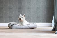 Designed by lotte nalino - hondenkussen - fluweel - grijs - 70x55x15 c cm - thumbnail