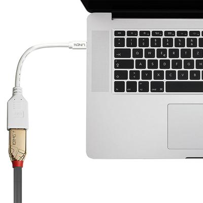 Lindy Kabel / Adapter mini-DP DP Wit kabeladapter/verloopstukje Lindy Kabel / Adapter mini-DP DP Wit kabeladapter/verloopstukje