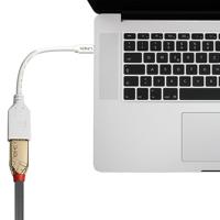 Lindy Kabel / Adapter mini-DP DP Wit kabeladapter/verloopstukje - thumbnail