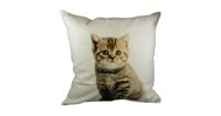 Sierkussen Canvas Kitten (50 x 50 cm) - thumbnail