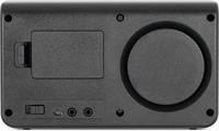 TechniSat STERNRADIO IR 2 - compacte internetradio (wifi, verwisselbare batterij, kleurendisplay, aanpasbare snelkeuzetoetsen, slaapradio, wekker, slaaptimer, snooze, AUX, app-bediening) zwart - thumbnail
