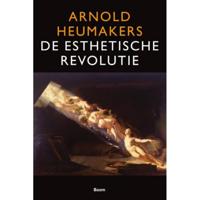 De esthetische revolutie (Paperback) - thumbnail