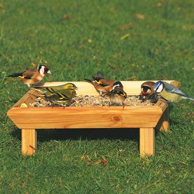 Voedertafel Voedertafel