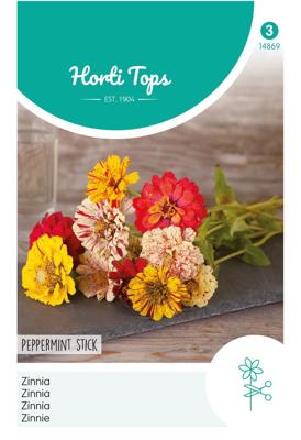 Zinnia Peppermint Stick Zaden Horitops - Hortitops Zinnia Peppermint Stick Zaden Horitops - Hortitops