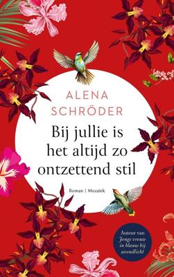 Bij jullie is het altijd zo ontzettend stil - Alena Schröder - ebook