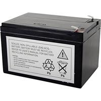 RBC4 UPS-accu Vervangt originele accu RBC4 Geschikt voor merk APC - thumbnail