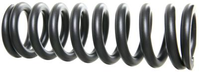 ROCKSHOX feder spring 450lb 240x76 gr