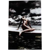 PTMD glasschilderij exclusive art poseila by macandrew 150 x 100 cm - thumbnail