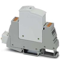 Phoenix Contact 2907925 PLT-SEC-T3-24-FM-PT Overspanningsveilige afleider 5 stuk(s) - thumbnail