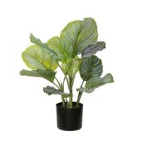 Calathea orbifolia 50 cm kunstplant Buitengewoon de Boet - Buitengewoon de boet - thumbnail