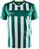 Craft 1910175 Progress 2.0 Stripe Men - Team Green/White - L