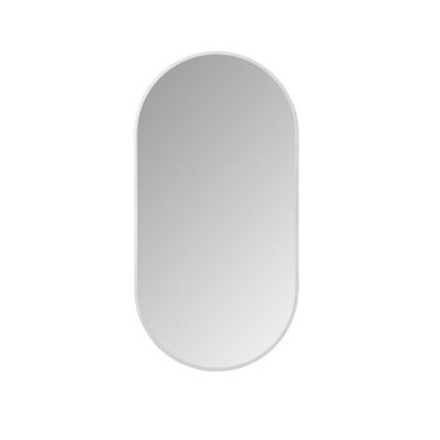 LED-Spiegel Ovaal BWS Colorato Met Verwarming 100x50 cm RVS