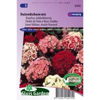 Dianthus Barbatus zaden Duizendschoon dubbel - thumbnail