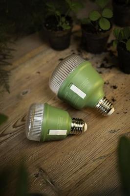 OSRAM HOMELIGHTING 4058075845787 Plantenlamp-lamp E27 10 W 1 stuk(s) OSRAM HOMELIGHTING 4058075845787 Plantenlamp-lamp E27 10 W 1 stuk(s)
