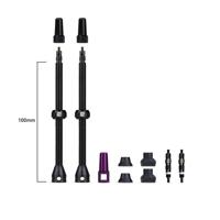 DYNAMIC barkeeper tubeless valves 100mm - 1set - thumbnail