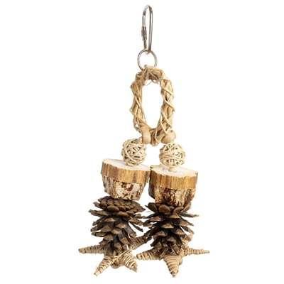 BACK ZOO NATURE FOREST RING