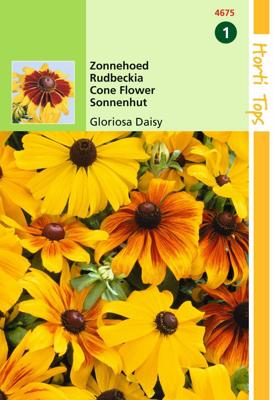 Zaden Rudbeckia Zonnehoed Gloriosa Daisy gemengd Hortitops - Hortitops