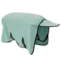 VidaXL Paardendeken speciale groen polyester - thumbnail