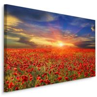 Schilderij - Klaprozen veld bij zonsondergang, multi-gekleurd, 4 maten, wanddecoratie - thumbnail