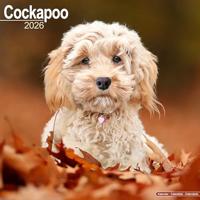 Cockapoo Calendar 2026 Square Dog Breed Wall Calendar - 16 Month - thumbnail