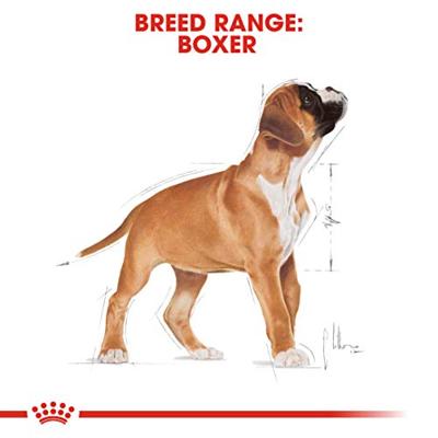 Royal Canin Boxer voer voor puppy 12kg - thumbnail