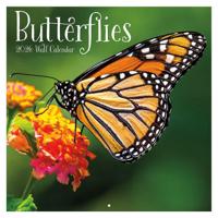 Vlinder Kalender 2026 - thumbnail